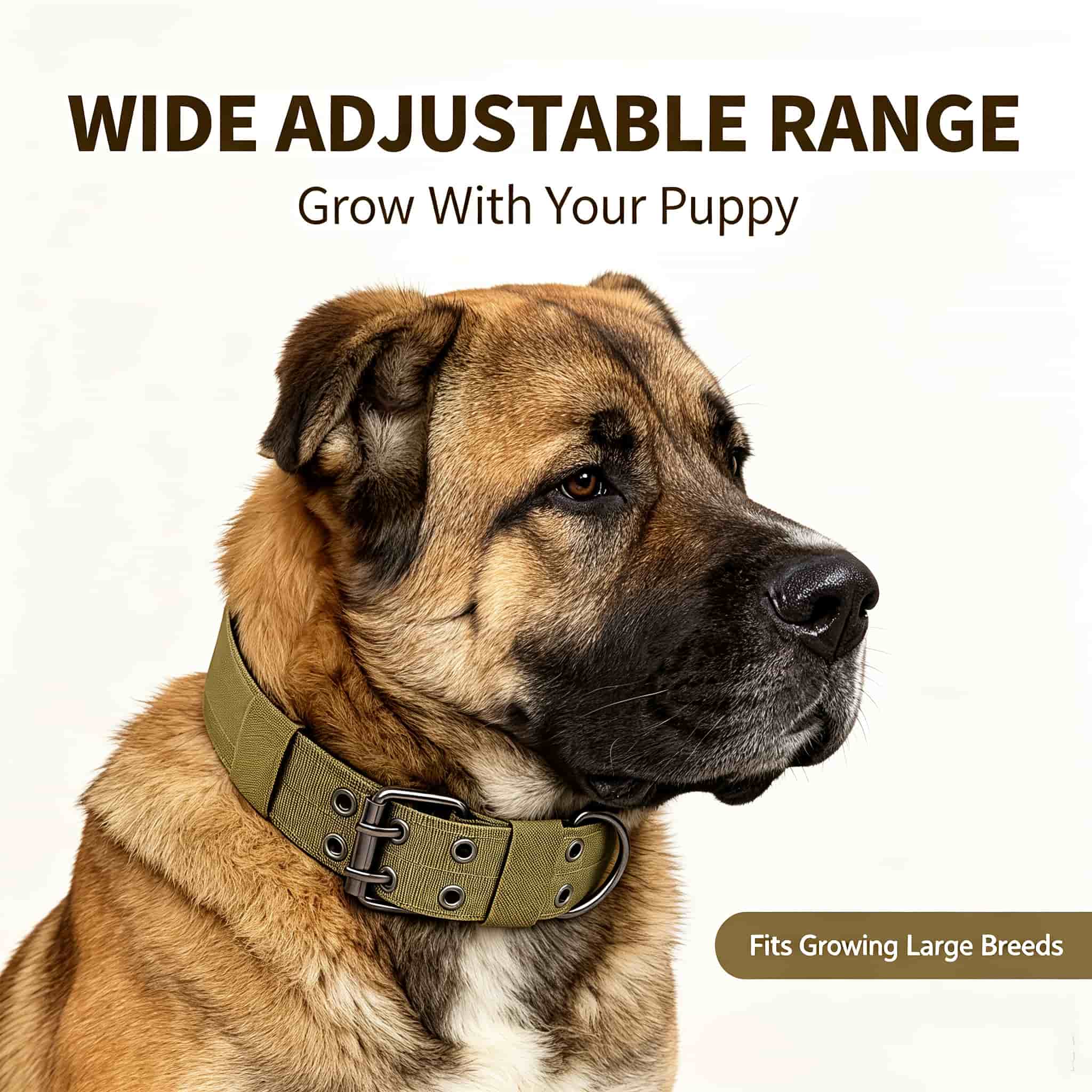 Outdoor Hunting Dog Collar - Camo Tactical Dog Collar Heavy Duty