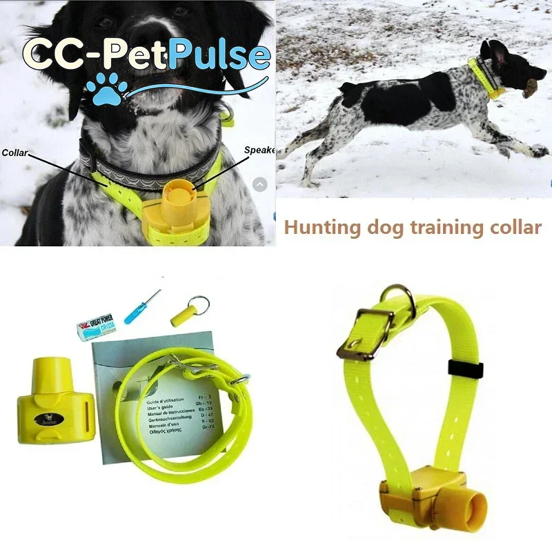 CC-PetPulse Outdoor Waterproof - đánh giá và giá Outdoor Hunting Dog Collar