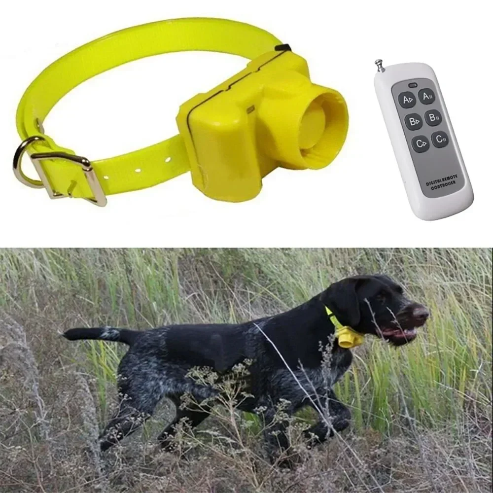 CC-PetPulse Outdoor Waterproof - đánh giá và giá Outdoor Hunting Dog Collar