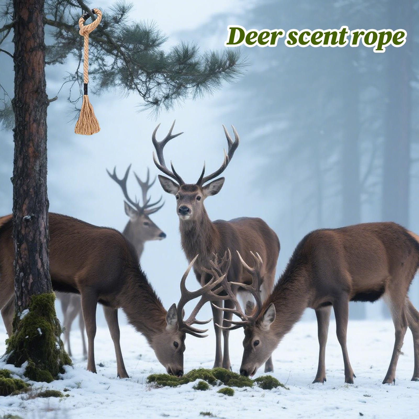 Deer Scent Rope Effective Long - đánh giá và giá Deer Attractant Scent