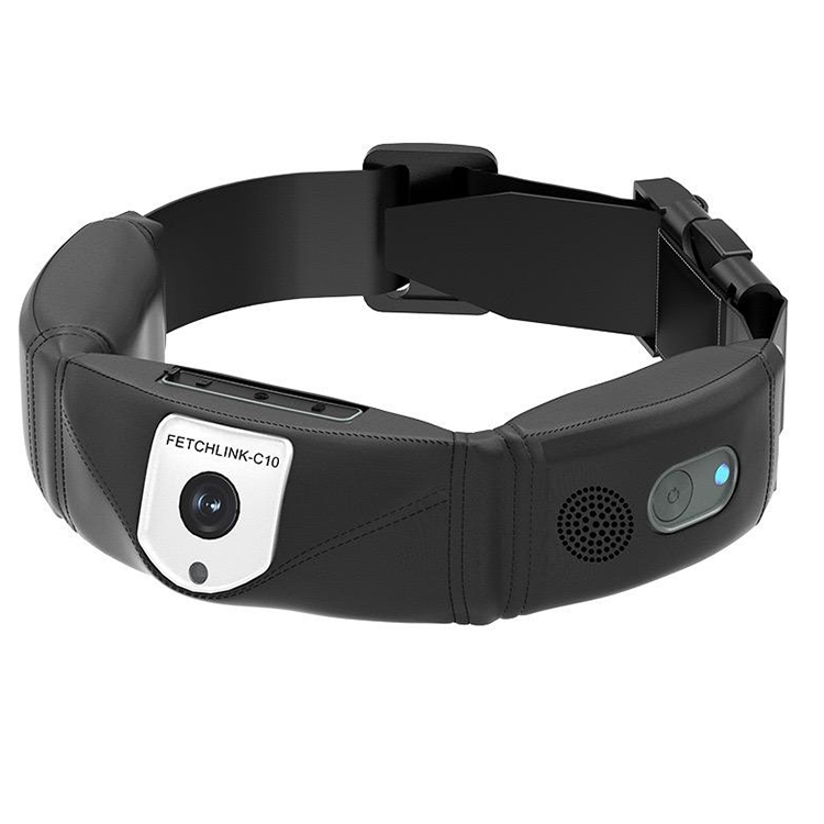 High Precision Dog GPS Tracker - đánh giá và giá Outdoor Hunting Dog Collar