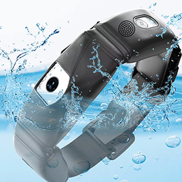 High Precision Dog GPS Tracker - đánh giá và giá Outdoor Hunting Dog Collar