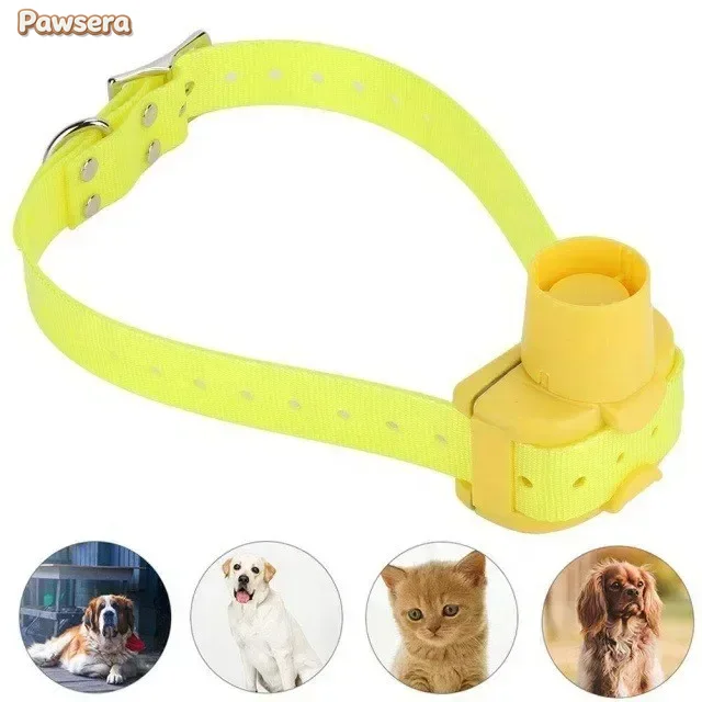 Pawsera Outdoor Hunting Dog Co - đánh giá và giá Outdoor Hunting Dog Collar