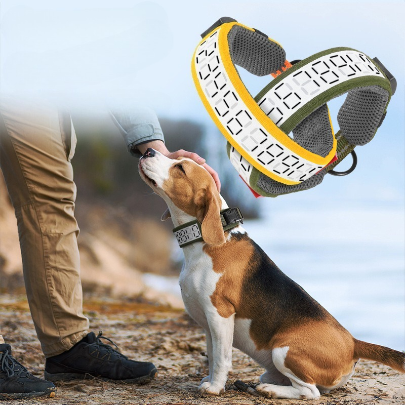 Outdoor Reflective Dog Collar  - đánh giá và giá Outdoor Hunting Dog Collar
