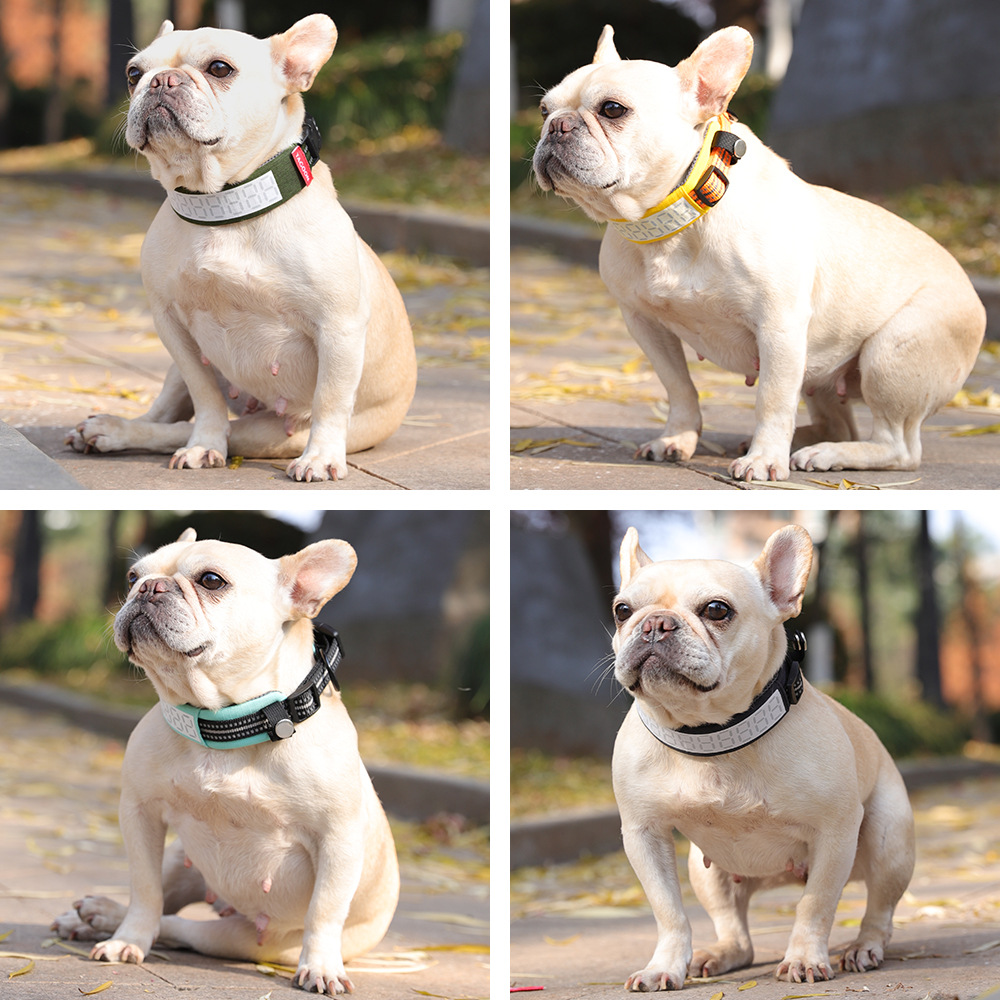 Outdoor Reflective Dog Collar  - đánh giá và giá Outdoor Hunting Dog Collar