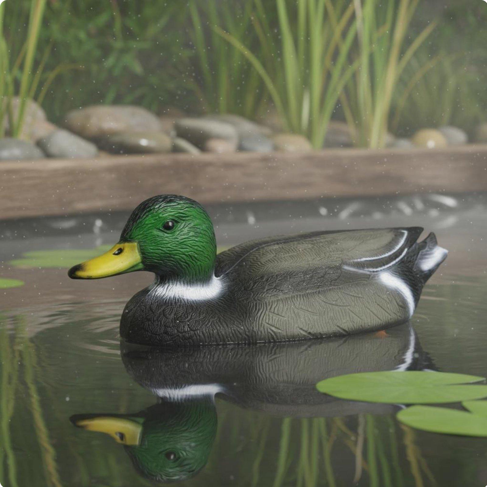 Floating Duck Decoy Realistic  - đánh giá và giá Hunting & Outdoor Supplies