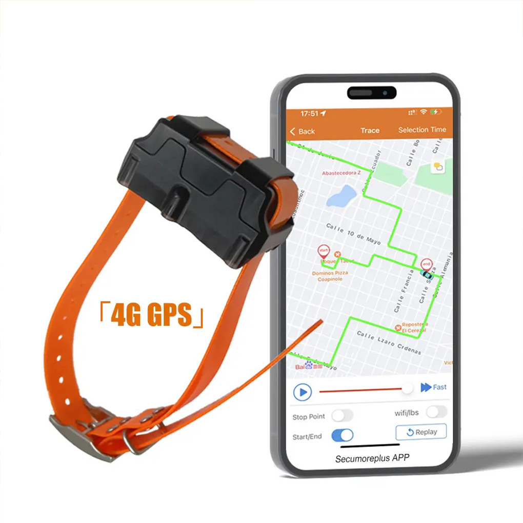 CY09A Portable Pet GPS Tracker - đánh giá và giá Outdoor Hunting Dog Collar