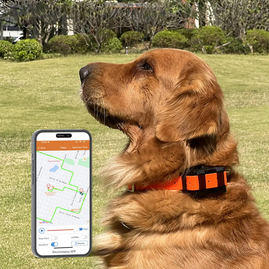 CY09A Portable Pet GPS Tracker - đánh giá và giá Outdoor Hunting Dog Collar