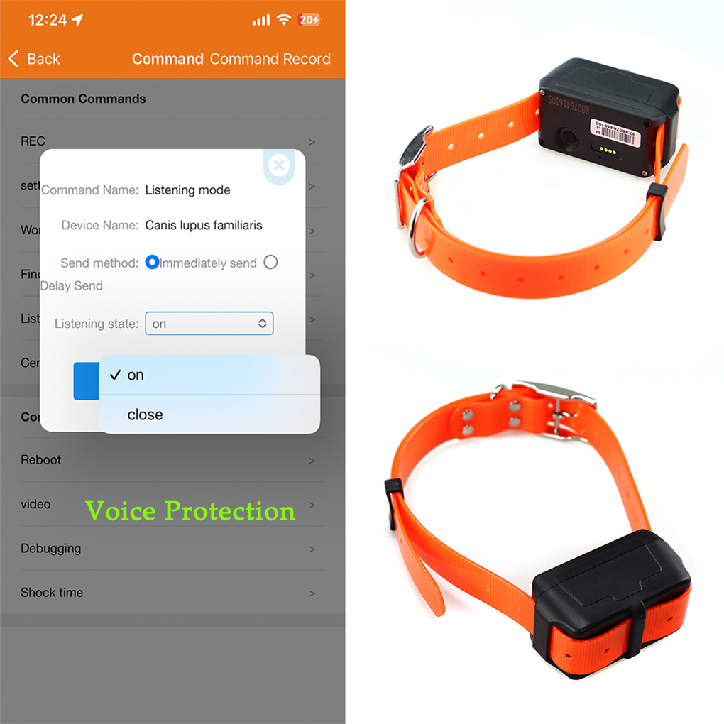CY09A Portable Pet GPS Tracker - đánh giá và giá Outdoor Hunting Dog Collar