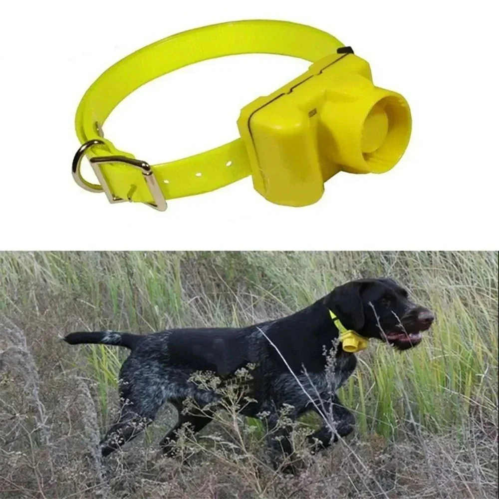 Updated Outdoor Hunting Dog Be - đánh giá và giá Outdoor Hunting Dog Collar