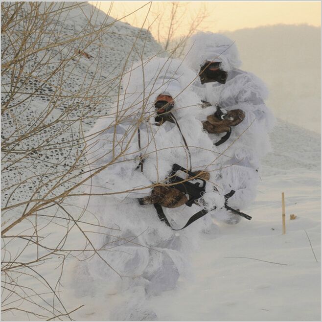 Winter 3D White Snow Ghillie S - đánh giá và giá Ghillie Suit Woodland