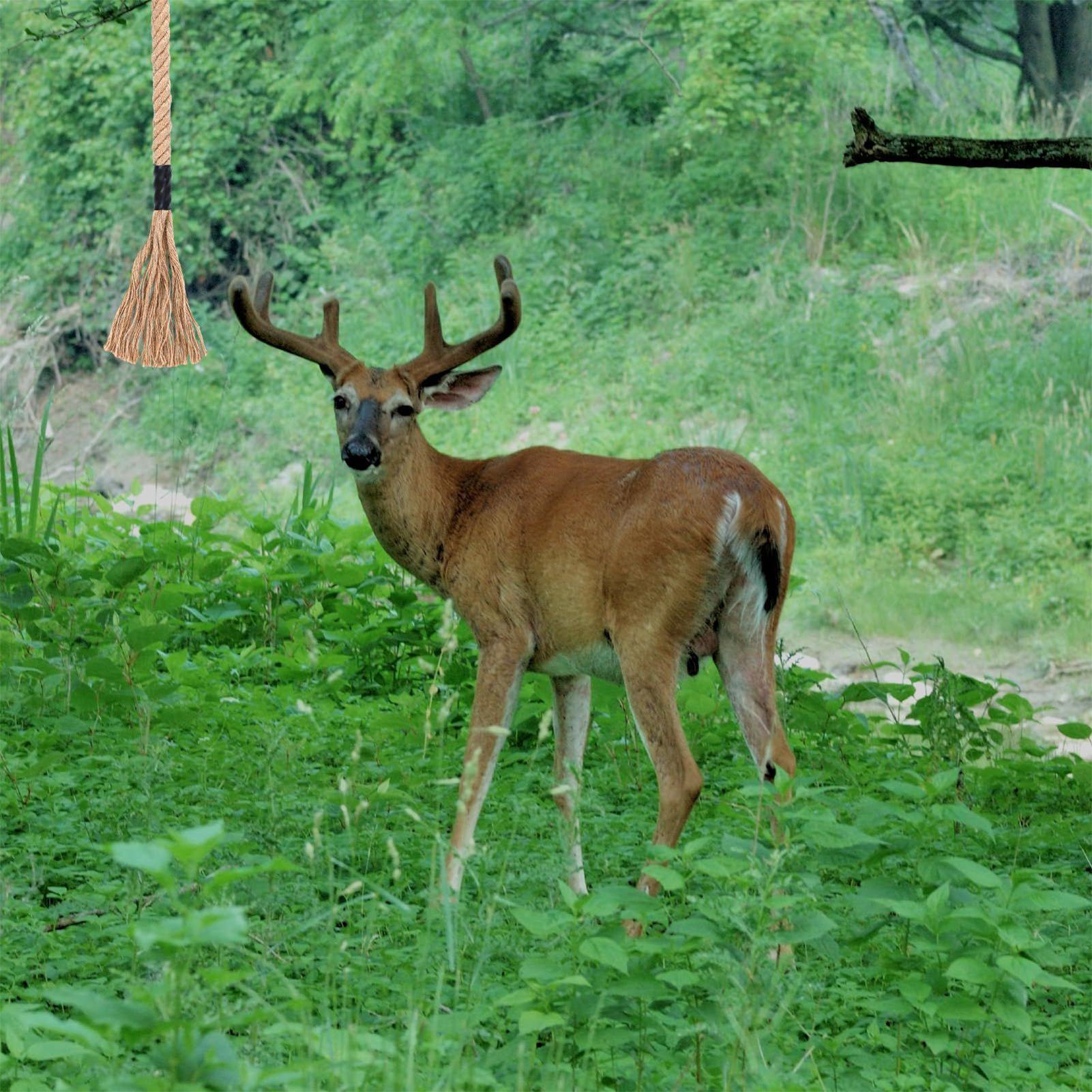 Deer Scrape Effective Long-Las - đánh giá và giá Deer Attractant Scent