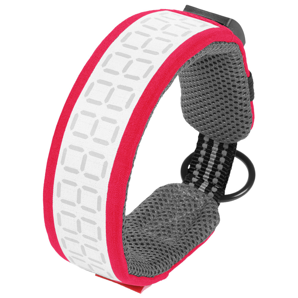 Outdoor Reflective Dog Collar  - đánh giá và giá Outdoor Hunting Dog Collar