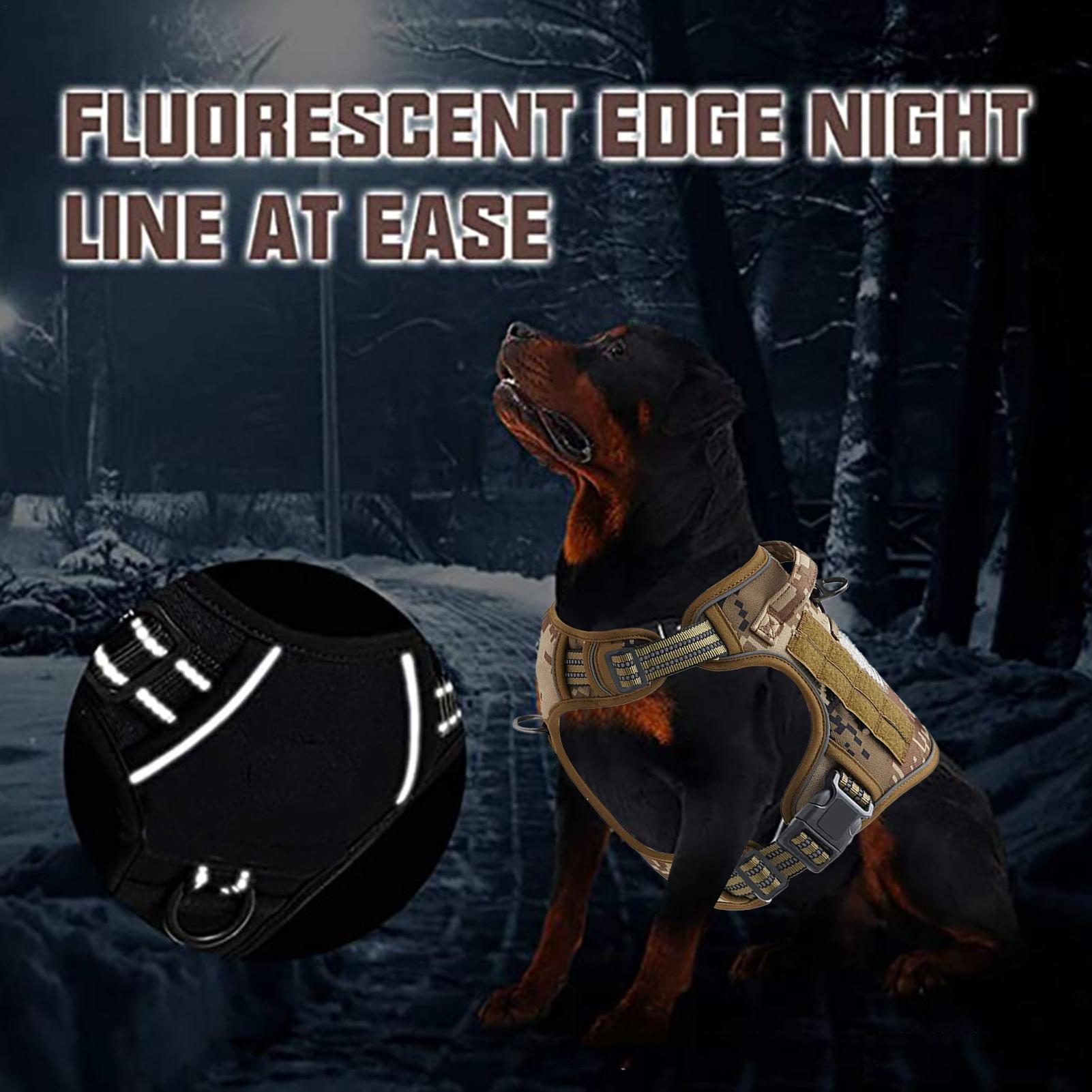 Dog Harness Metal Buckle Dog T - đánh giá và giá Outdoor Hunting Dog Collar