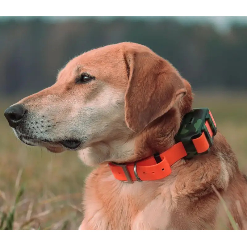 ICAR IK122M 2000mah Collar 4G  - đánh giá và giá Outdoor Hunting Dog Collar