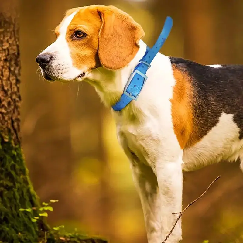 TPU Outdoor Pet Safety Collar  - đánh giá và giá Outdoor Hunting Dog Collar