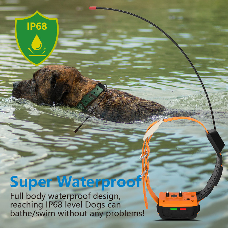 Wholesale 4G GPS Dog Collar an - đánh giá và giá Outdoor Hunting Dog Collar